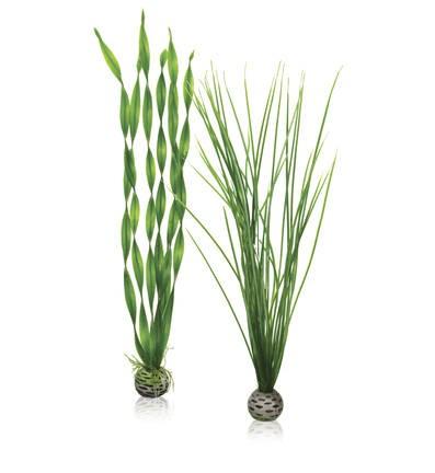 biOrb Easy Plant Set Green - Image 4