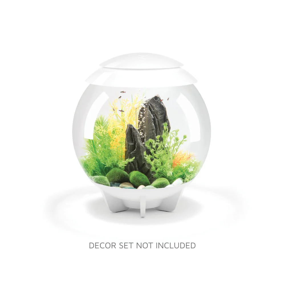 biOrb HALO 30 Aquarium (MCR - Multi-Color Remote) - Image 2