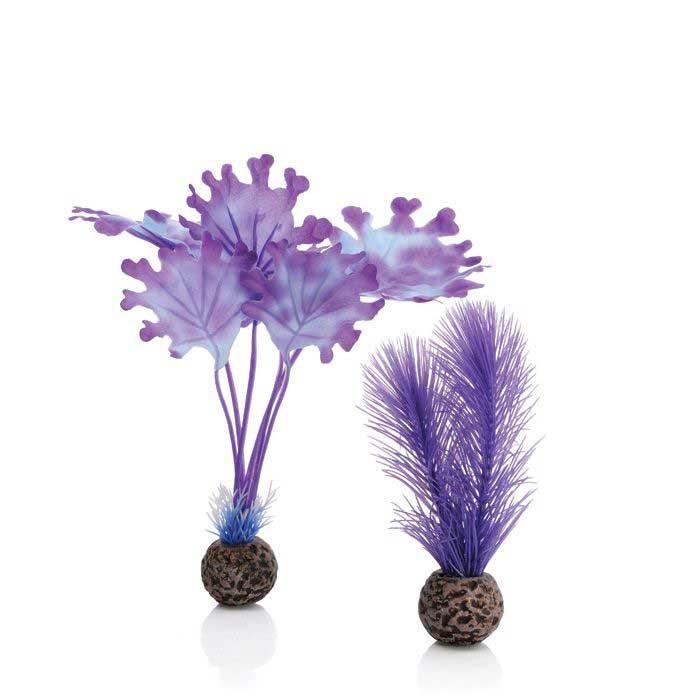 biOrb Kelp Set - Image 4