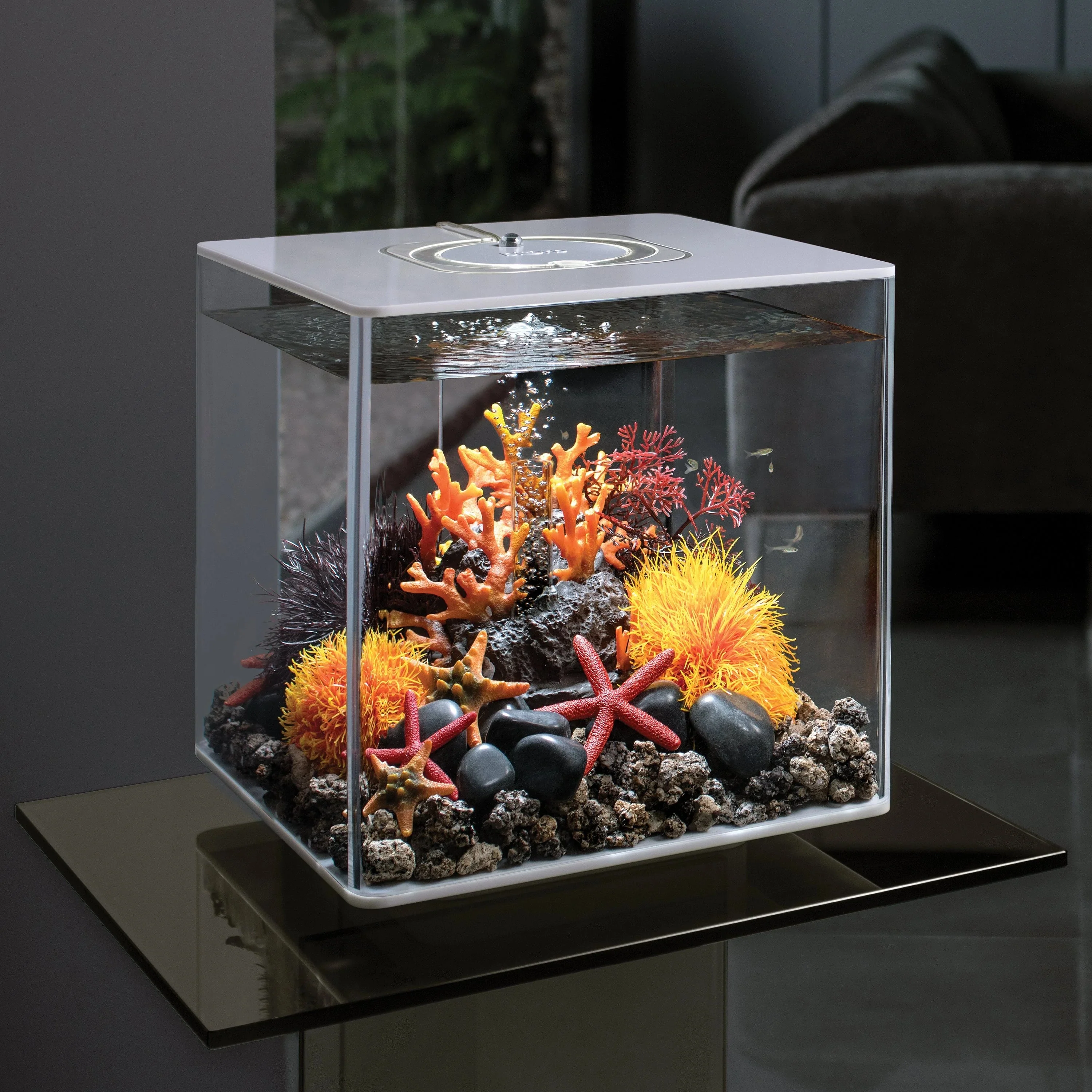 biOrb Lava rock with fire coral ornament - Image 2