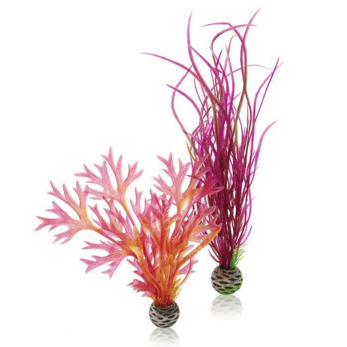 biOrb Plant Set - Image 3