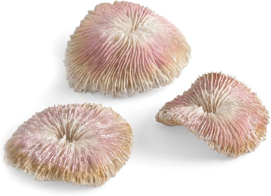 biOrb Seychelles Plate Coral Set of 3