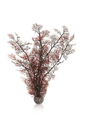 biOrb Sea Fan - Image 12