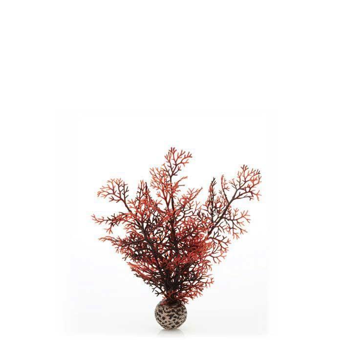biOrb Sea Fan - Image 7
