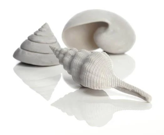 biOrb Sea shell Set - Image 2