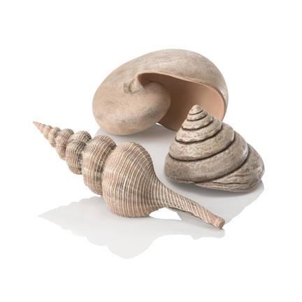 biOrb Sea shell Set - Image 3
