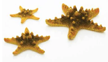 biOrb Sea Stars Set of 3 - Image 3