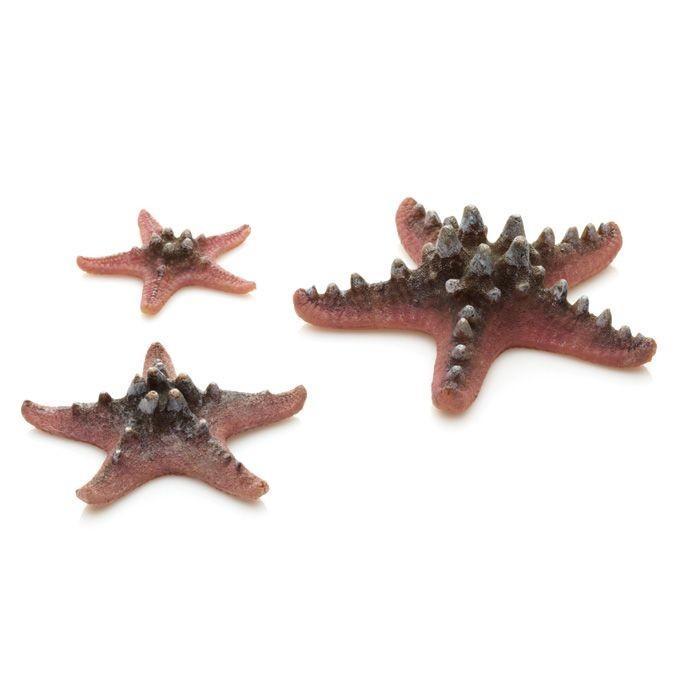 biOrb Sea Stars Set of 3 - Image 6