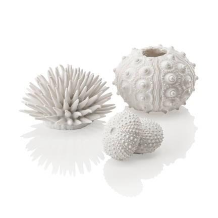 biOrb Sea Urchins Set - Image 4