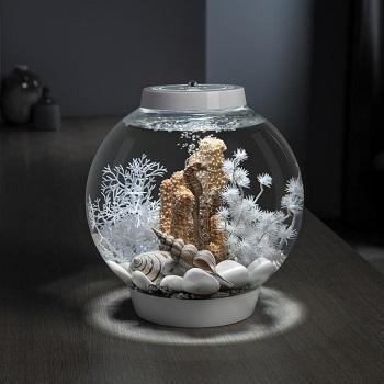 biOrb seahorses on coral - Image 4