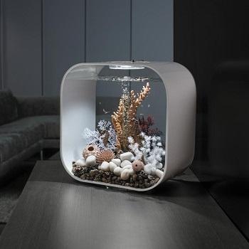 biOrb seahorses on coral - Image 7