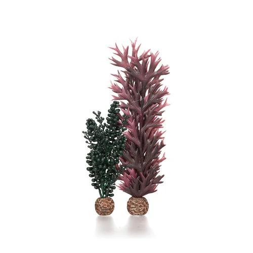 biOrb seapearls & Kelp - Image 2
