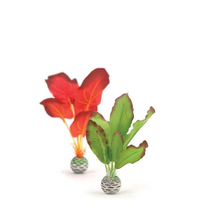 biOrb Silk Plant Set - Image 2