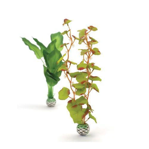 biOrb Silk Plant Set - Image 3