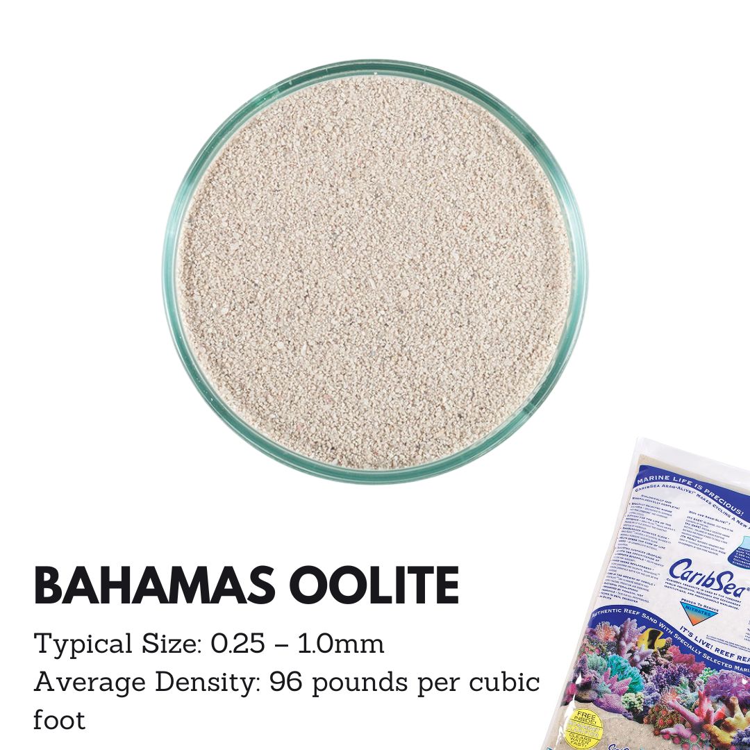 Caribsea Aragalive Bahamas Oolite (10/20lbs) - Image 3