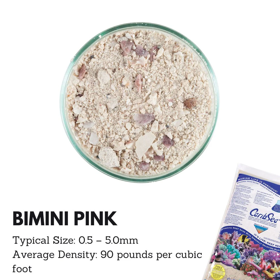 Caribsea Aragalive Bimini Pink (10/20lbs) - Image 2