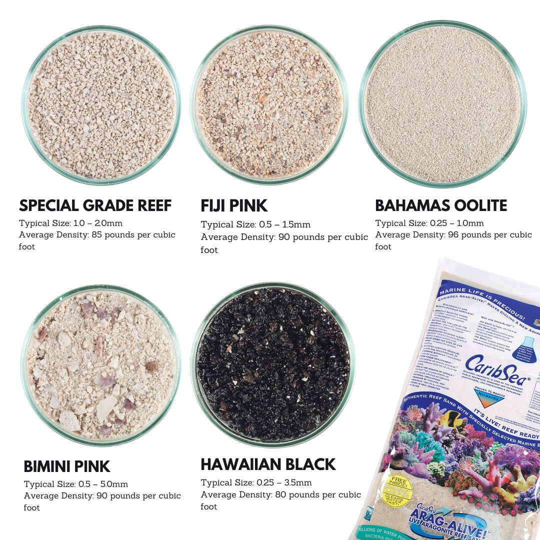 Caribsea Aragalive Bimini Pink (10/20lbs) - Image 3