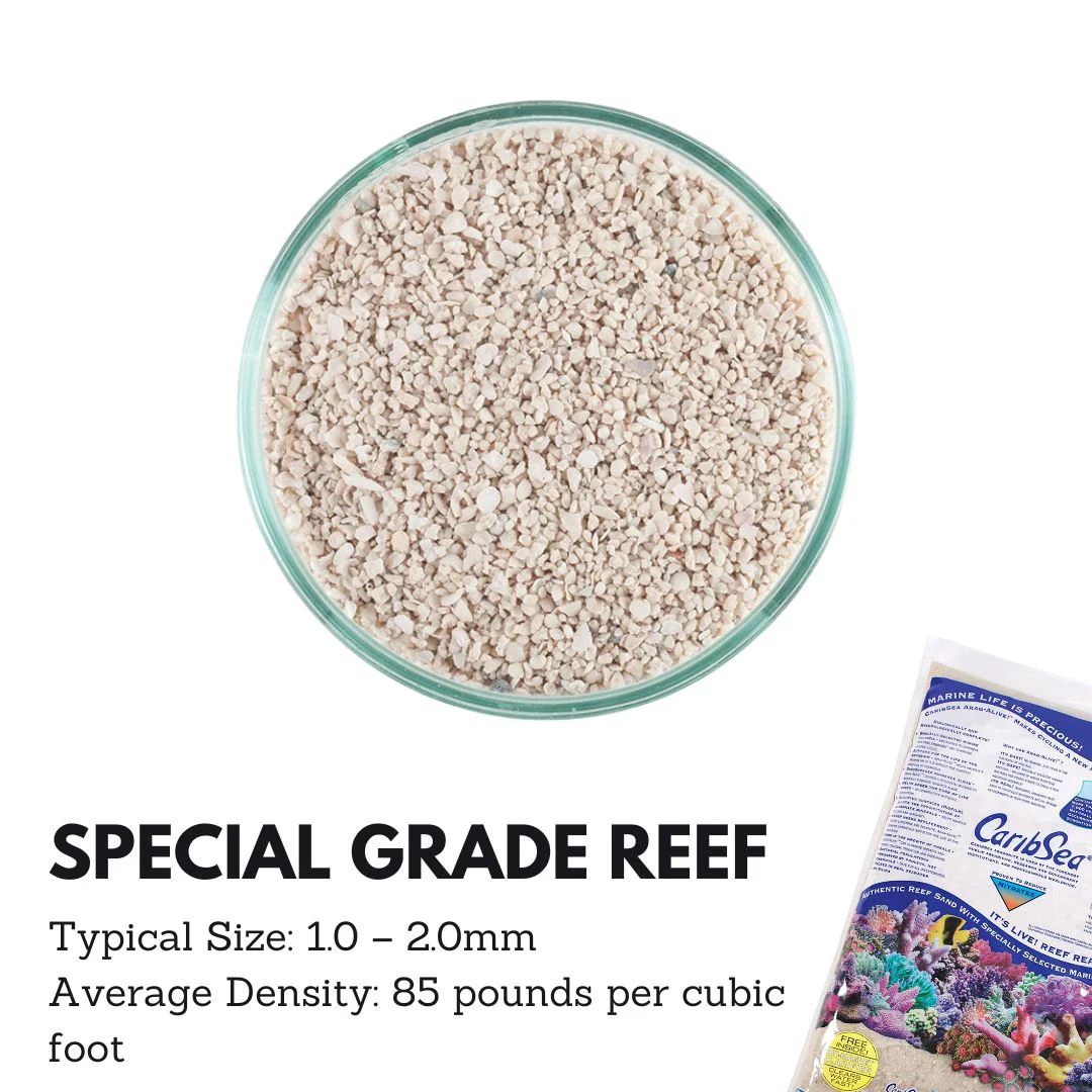 Caribsea Aragalive Special Grade Reef Sand (10/20lbs) - Image 2