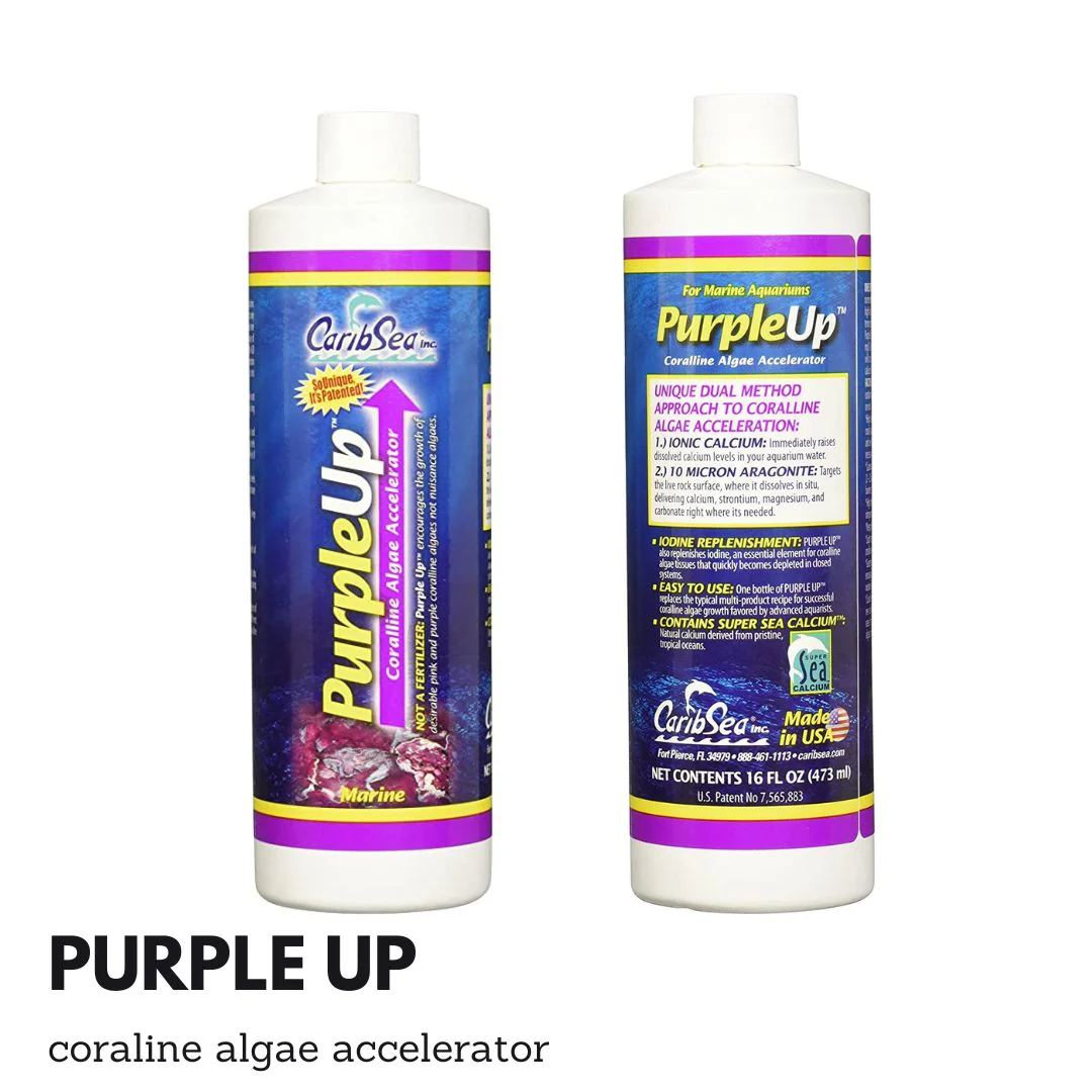 Caribsea Purple Up 16oz