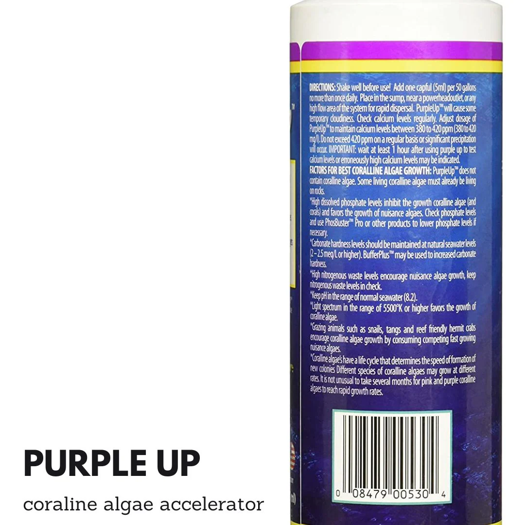 Caribsea Purple Up 16oz - Image 2