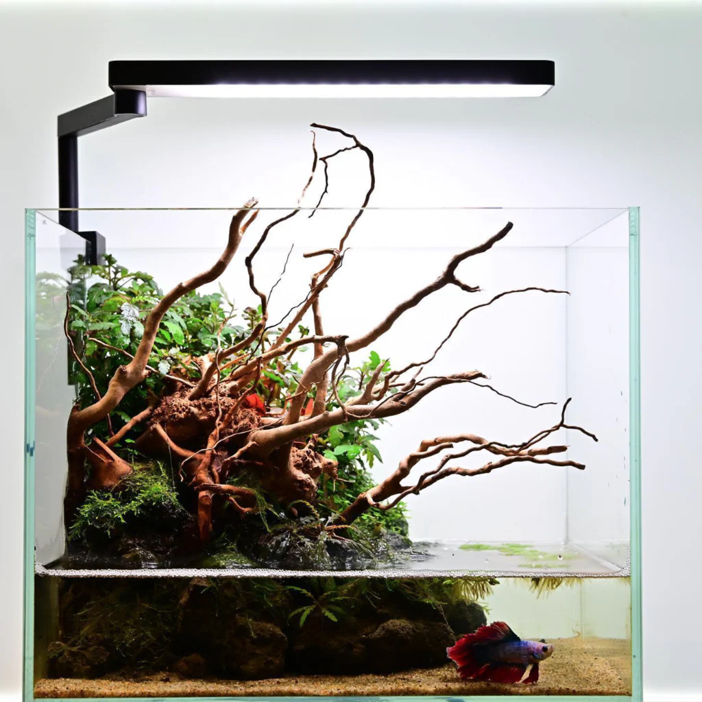 Chihiros LED C2 - Image 2