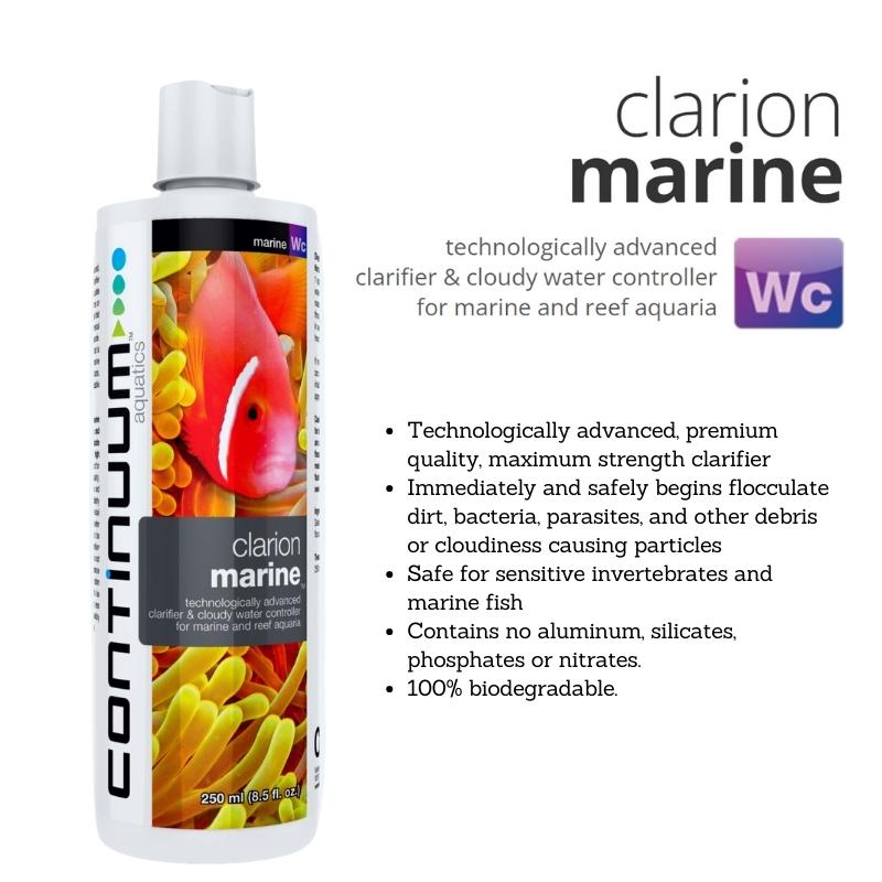 CONTINUUM Clarion Marine - Marine Clarifier - Image 3