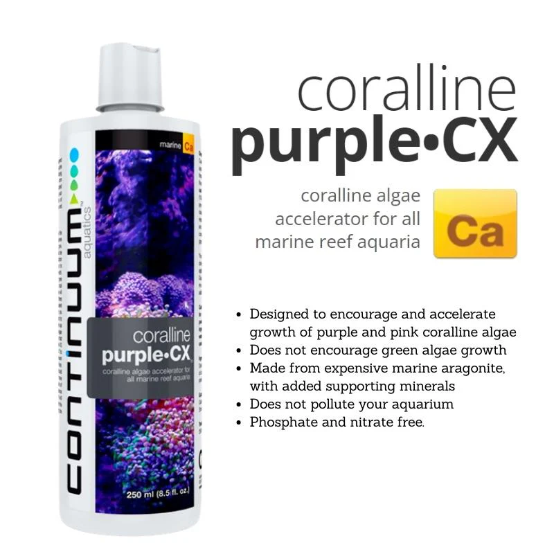 CONTINUUM Coraline Purple CX (improve coraline algae growth) - Image 3
