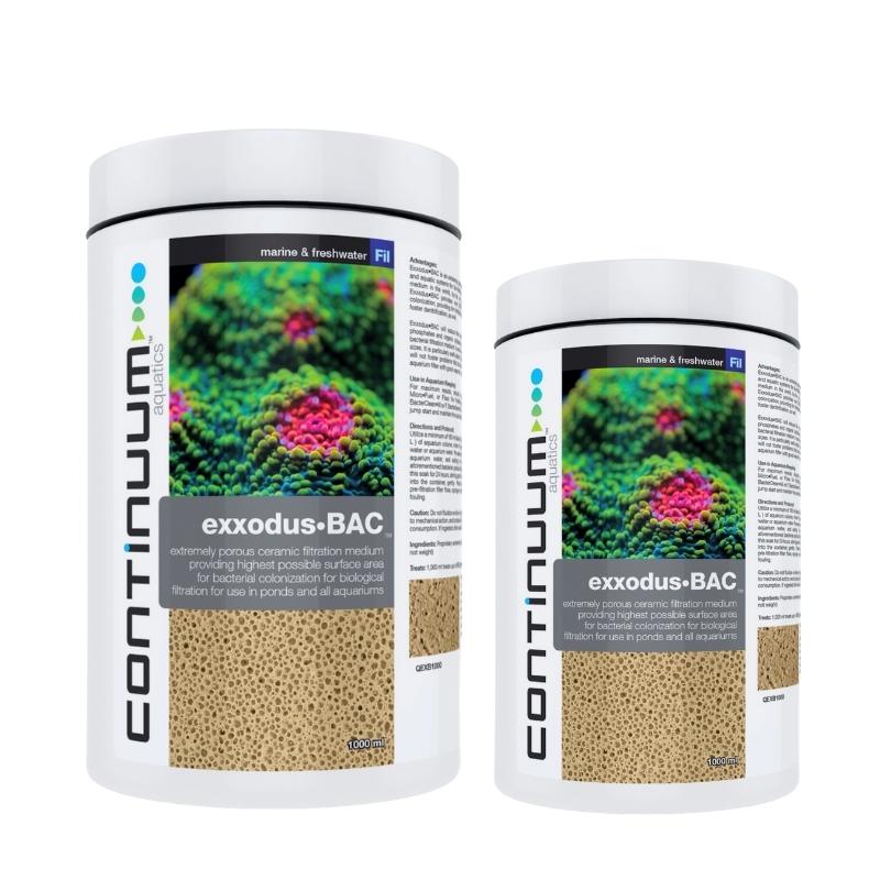 CONTINUUM EXXODUS-BAC CUBES - Image 2