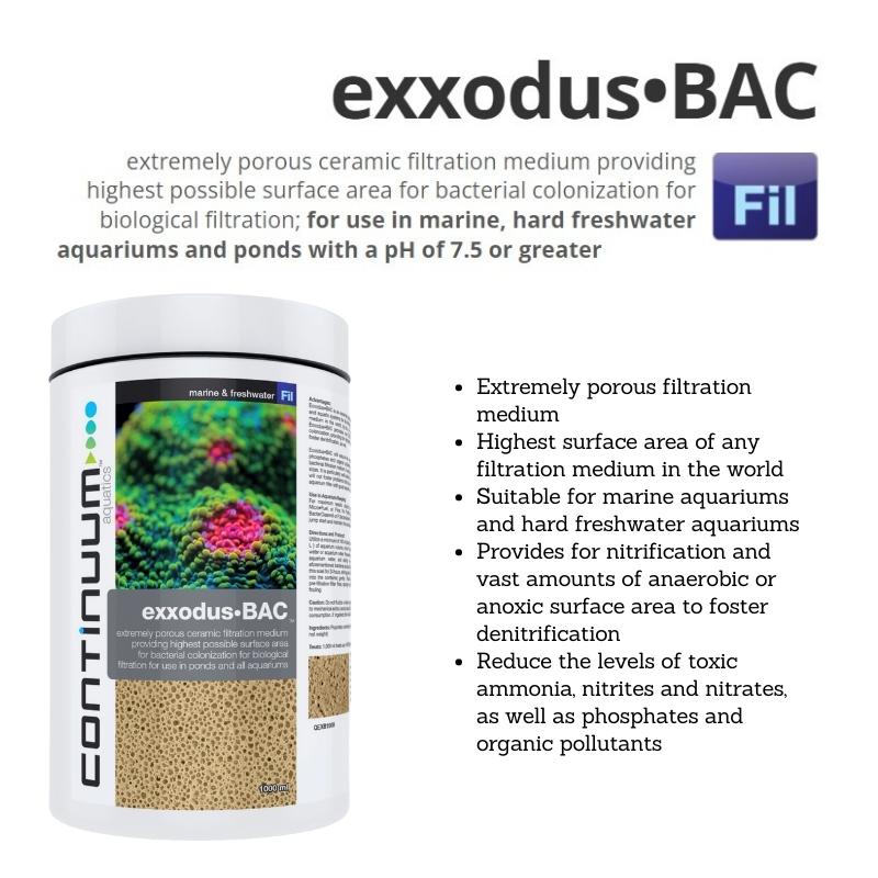 CONTINUUM EXXODUS-BAC CUBES - Image 3