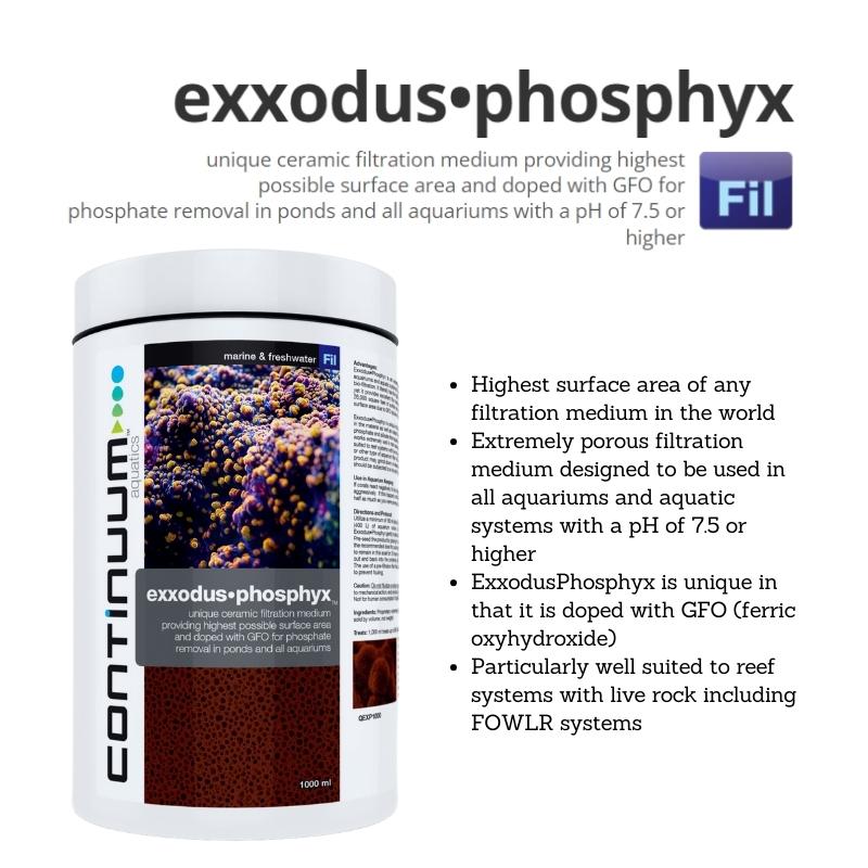 CONTINUUM Exxodus Phosphyx Cubes - Image 3