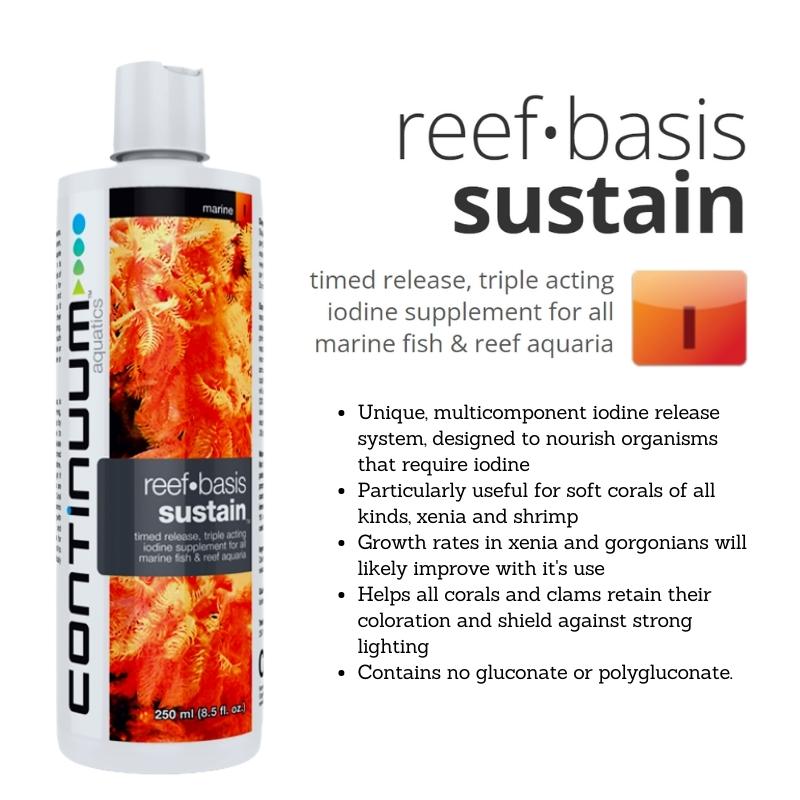 CONTINUUM Sustain Iodine (Triple Timed Release Iodine) - Image 3