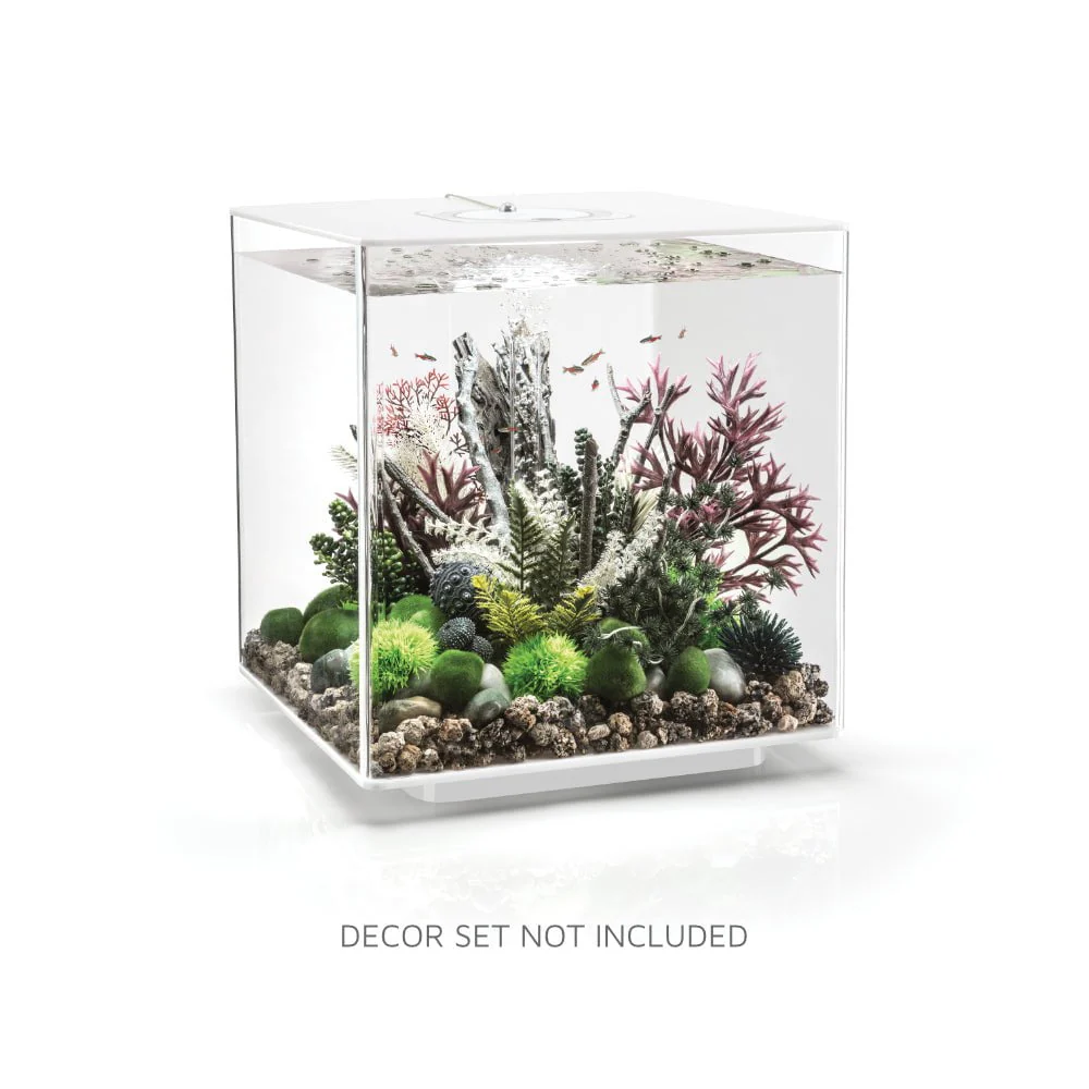 biOrb CUBE 60 Aquarium (MCR - Multi-Color Remote) - Image 2