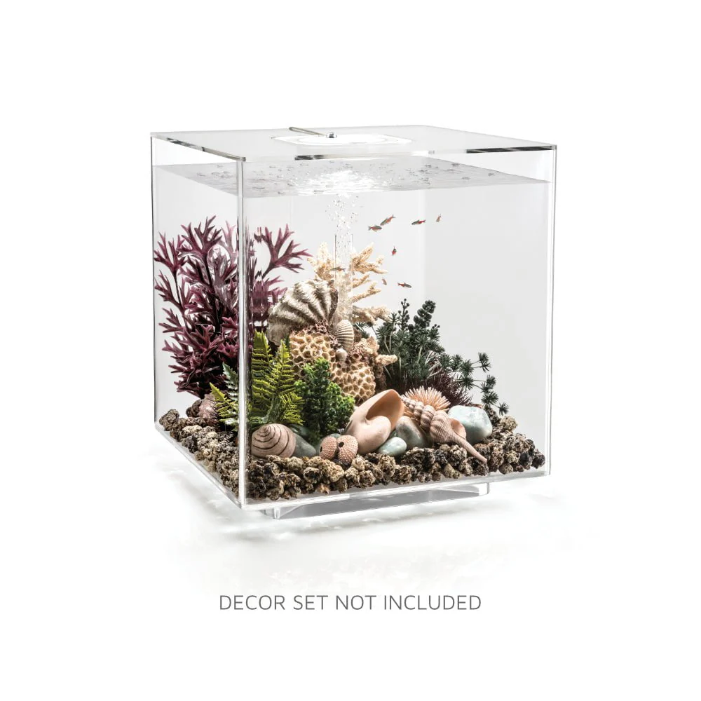 biOrb CUBE 60 Aquarium (MCR - Multi-Color Remote) - Image 3