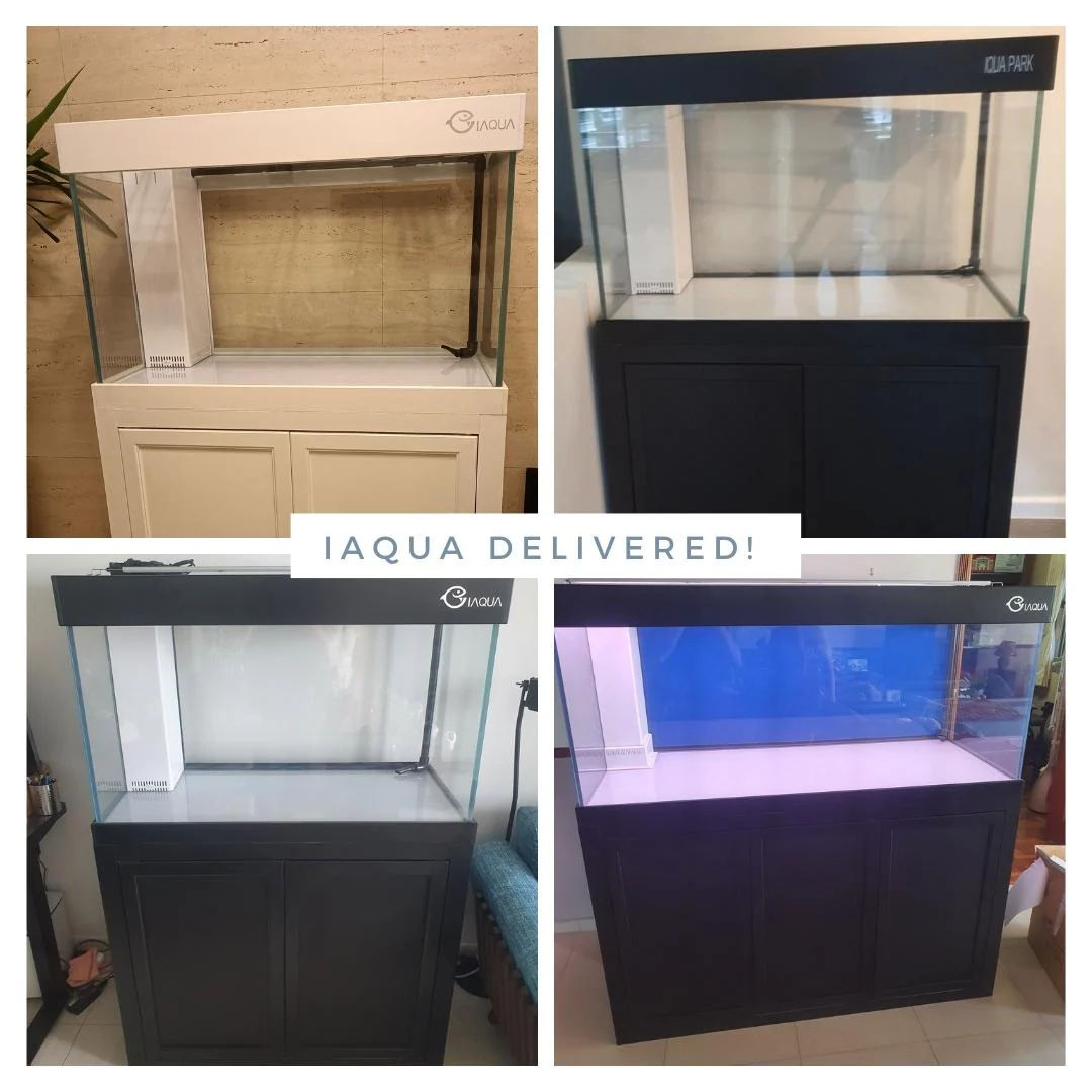 IAQUA 120 - Crystal Glass Aquarium (Complete w/ Sump & Aluminum Cabinet) - Image 3