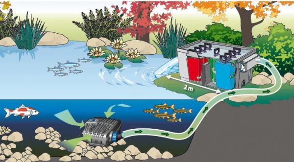 OASE BioSmart Set 18000 (pond filter with pump) - Image 3