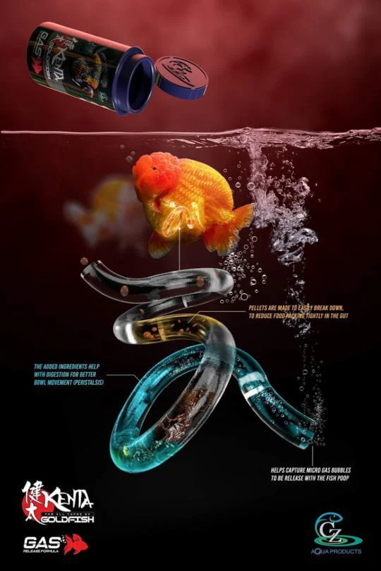 CZ Aqua Kenta releasing gas 150g/500g (Help goldfish to regain balance) - Image 3