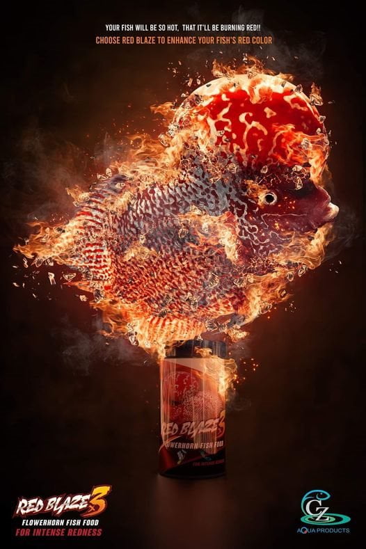 CZ Aqua Red blaze x3 100g (Intense Red Fish Food For Flowerhorn) - Image 2