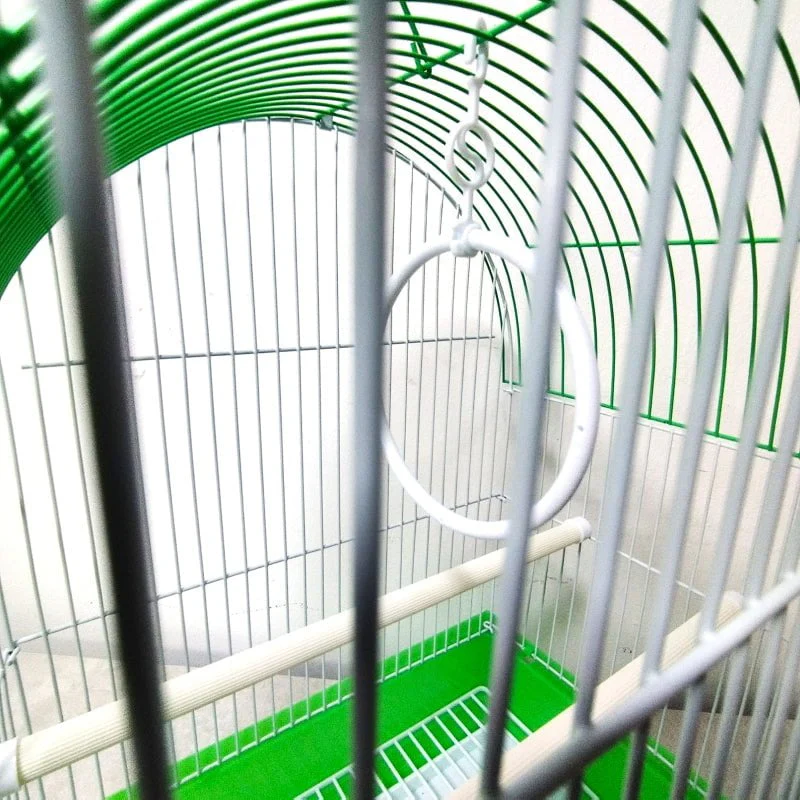 DAYANG A100 Bird Cage (30x23x41.5cm) - Assorted Colors - Image 5