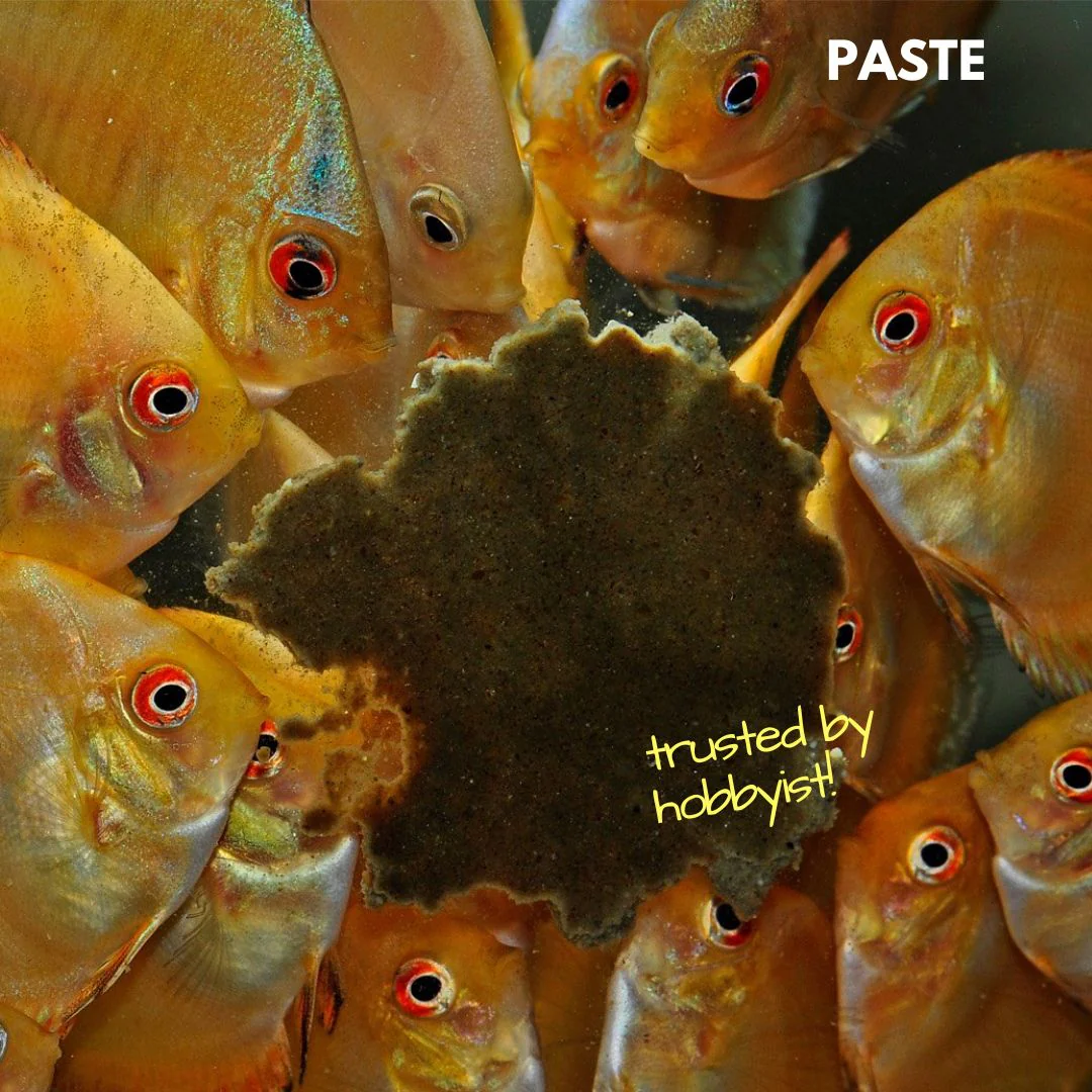 Discusfood Artemia Paste 200g - Image 3
