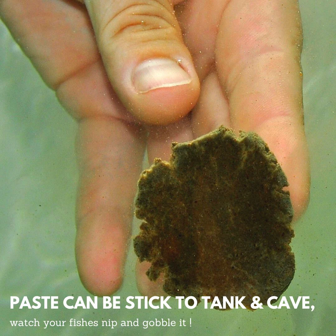 Discusfood Artemia Paste 200g - Image 4