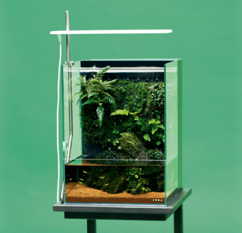 DOOA System TERRA 30 Mistflow SET (C plug)
