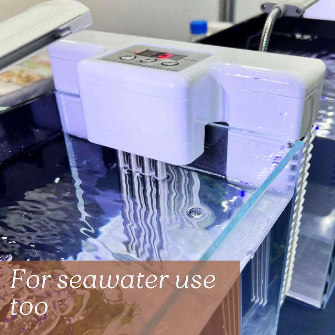 DYT Mini Chiller for up to 30L (No Installation needed) - Image 6