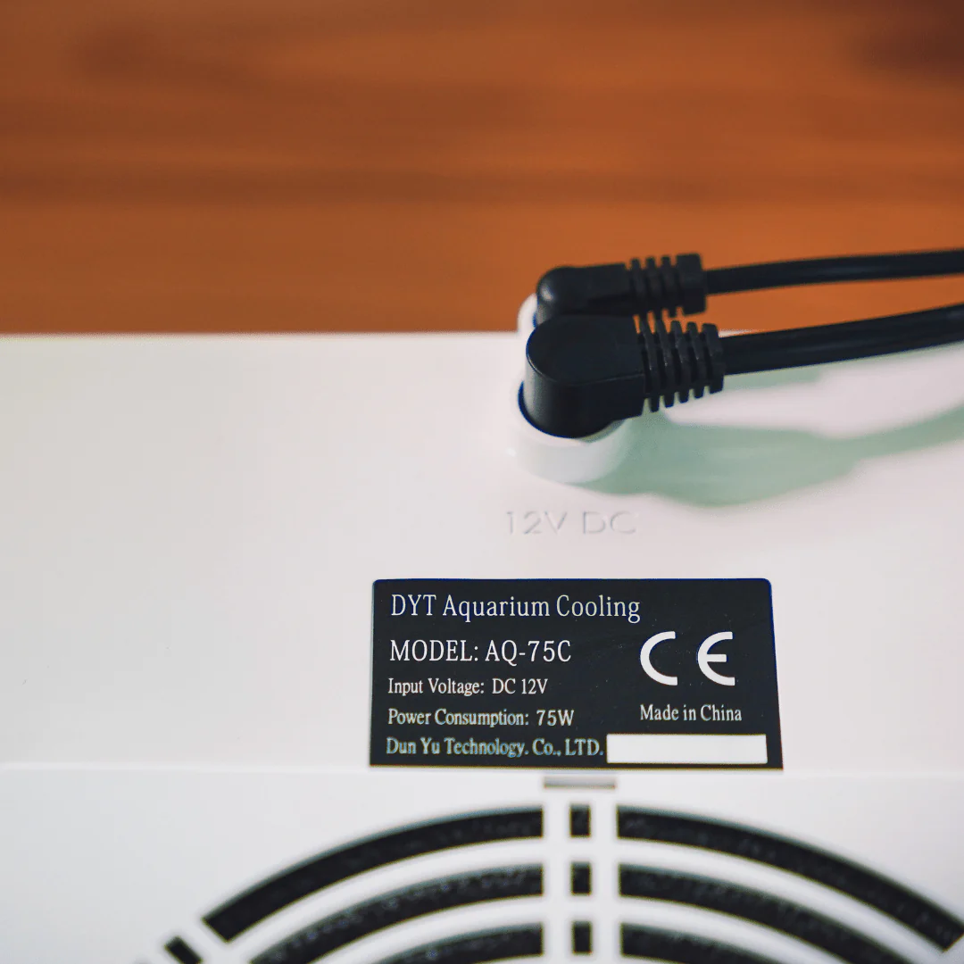 DYT Mini Chiller for up to 30L (No Installation needed) - Image 7