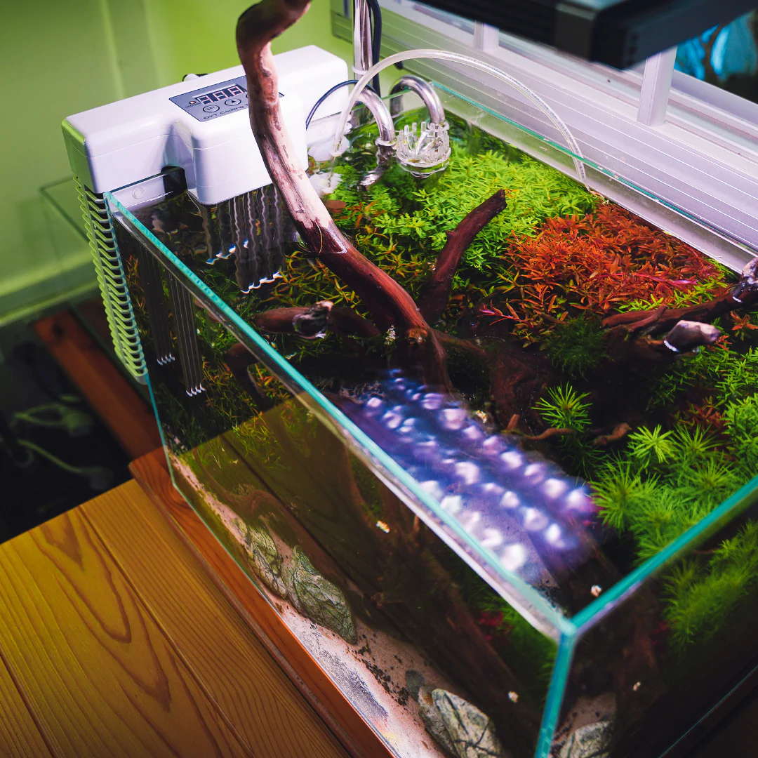 DYT Mini Chiller for up to 30L (No Installation needed) - Image 9