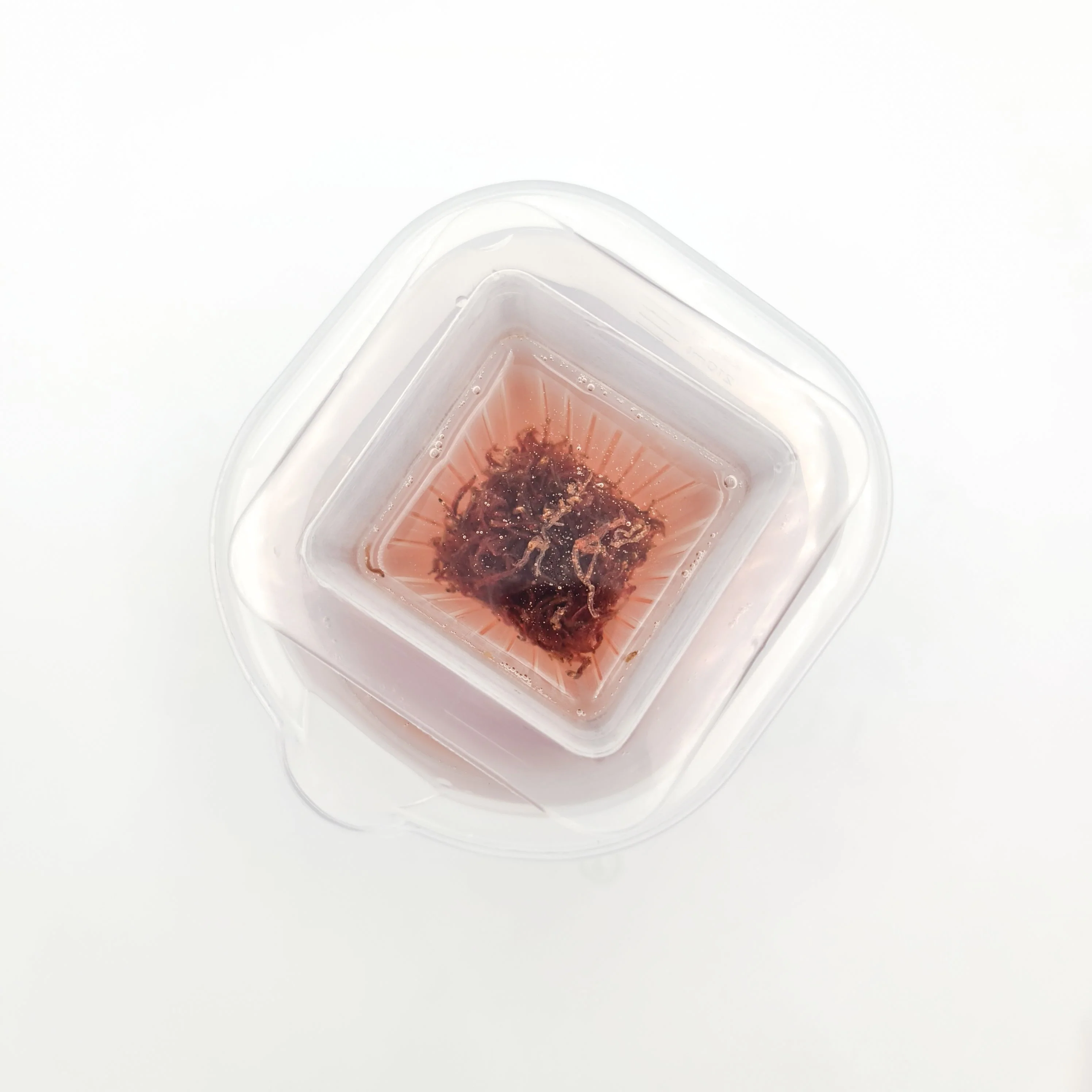 iLONDA Floating Red Worms Feeding Cup - Image 4