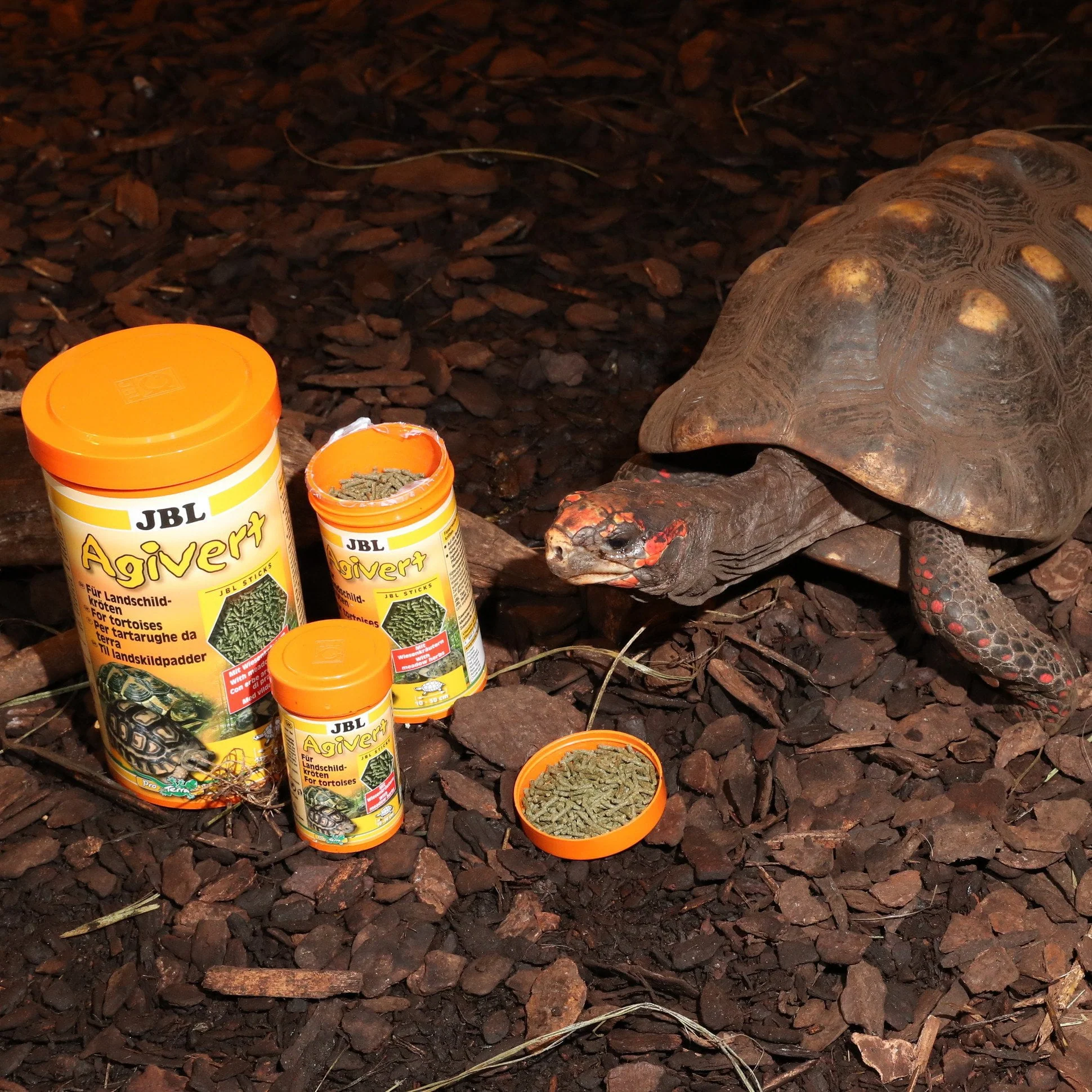 JBL Agivert 250ml (Vegetable Based Turtle Food) - Image 7