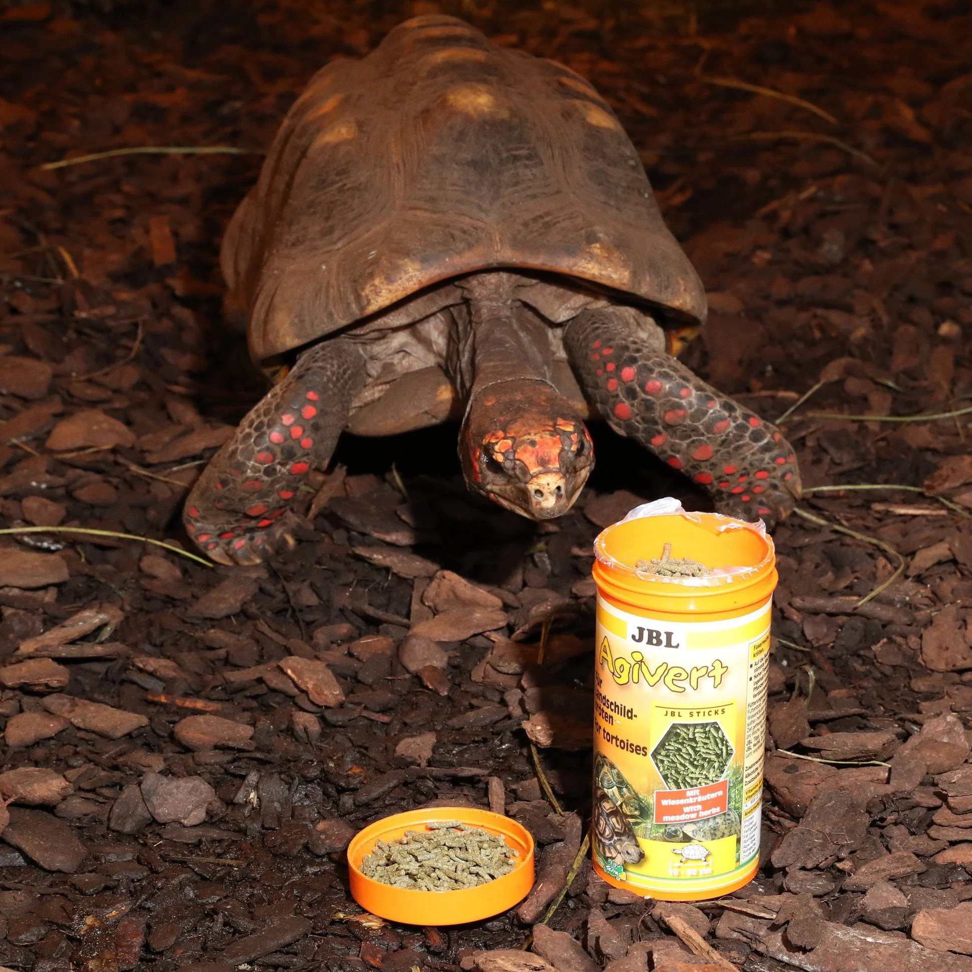 JBL Agivert 250ml (Vegetable Based Turtle Food) - Image 8