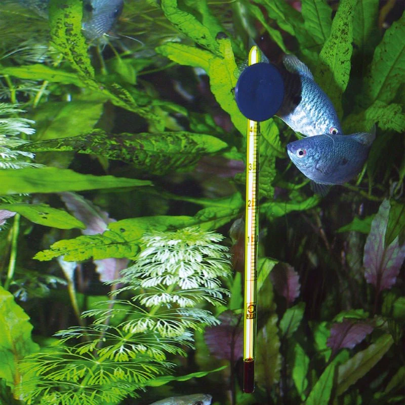 JBL Aquarium Thermometer Slim - Image 6
