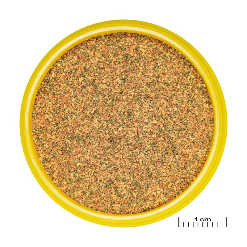 JBL ProNovo Bel Grano XXS  (Granules For Very Small Fishes) - Image 2