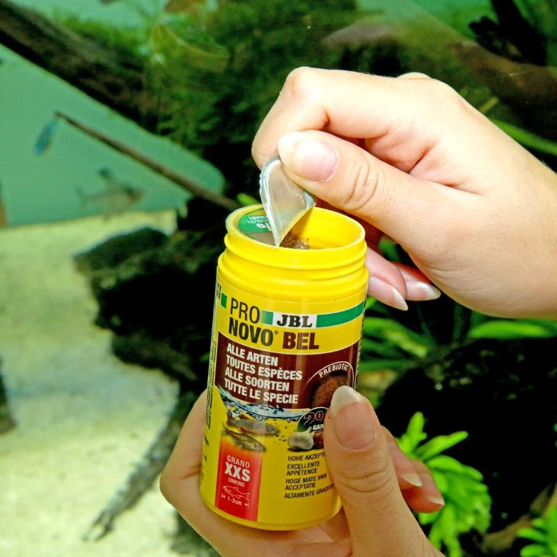 JBL ProNovo Bel Grano XXS  (Granules For Very Small Fishes) - Image 3